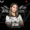 dfv_seika