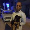 hisham.elsheshtawey