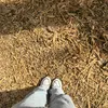 iqm__45