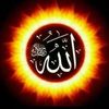 mahmoudhneine