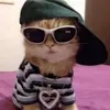 lilratdioon