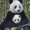 scrittriceluisa