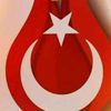 aslanyilmaz8