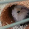 ichbinhyperaktiv
