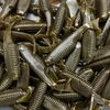 lunarlures