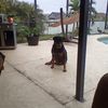 user70199105