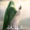 hassanwerid