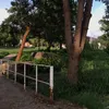 feelzxv