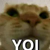 vzyr9