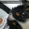 angelo.bella