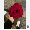 user7015193443208