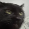himihoe