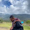napigaul43
