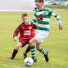 harrybro2727_