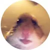hamstergangwhereuat