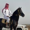mosa_lbdly