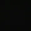 salvamb__