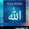 omahmed3929