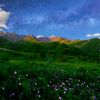 amil_48_