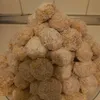 aosfora