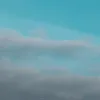 alana_gil