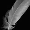 khaled__1412