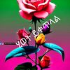 user900443416