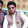 gillani7860