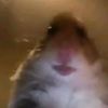 sophiamar_10