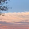 lexiemiller29
