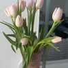 cheychey_20love