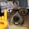felipepignatari7