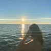 _anxna_b_