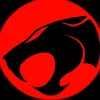 tander_cats