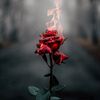rheetha_sa