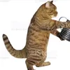suction_process