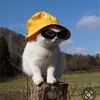 mimozzz.com