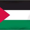 shabbirhussain9917