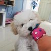 dulcinea_d3l_toboso