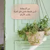 user260323021