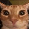 thatmanjack_