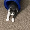 michelle_f37