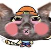 cholulafriend