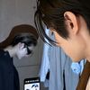 hoonki_girl