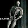 jaxe