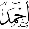 ahmedmahmoud3402