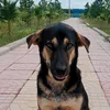 kybu