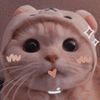lyamysr4