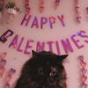 its.ava.the.cat