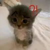 chvm_r